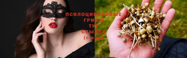 индика Карталы