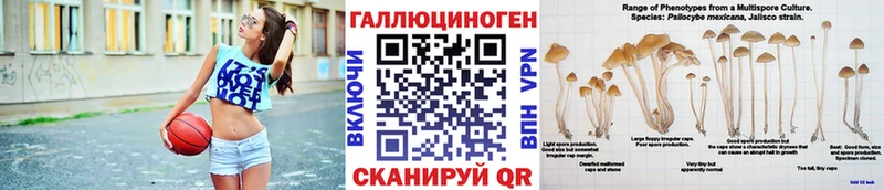 Галлюциногенные грибы мицелий  Купить  Первоуральск 